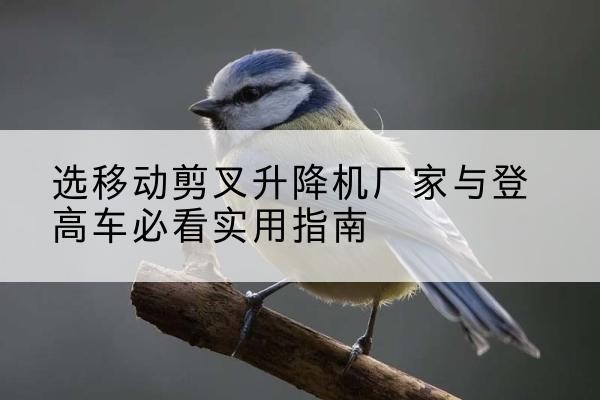 集贤电动升降机厂家-选移动剪叉升降机厂家与登高车必看实用指南
