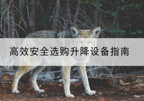 集贤升降货梯厂家推荐-*安全选购升降设备指南