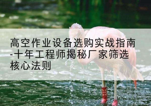 集贤剪叉式升降机厂家-高空作业设备选购实战指南-十年工程师揭秘厂家筛选核心法则